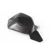 Carbon swingarm protection - Ducati Streetfighter V4 / V4S
