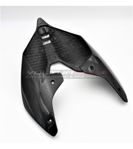 Cola de carbono de diseño personalizado - Ducati Panigale V4 / V4S / V4R / V2 2020 / Streetfighter V4 / V2 