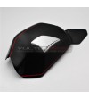 Custom Carbon Schwingenschutz - Ducati Streetfighter V4 / V4S