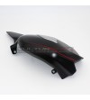 Custom carbon swingarm protection - Ducati Streetfighter V4 / V4S
