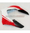 Custom design carbon fairing - Ducati Panigale V4R / V4 / V2 2020 / 2022 