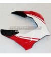 Custom design carbon fairing - Ducati Panigale V4R / V4 / V2 2020 / 2022 