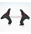 Carbon Sattelrahmenabdeckung Set - Ducati Streetfighter V4 / V4S