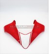 Paneles laterales originales Ducati y kit de carenado - Multistrada V4 / V4S 