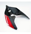 Codino in carbonio verniciato - Ducati Panigale V4 / V4S / V4R / V2 / Streetfighter V4 / V2 