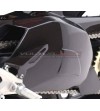 Carbon swingarm protection - Ducati Streetfighter V4 / V4S