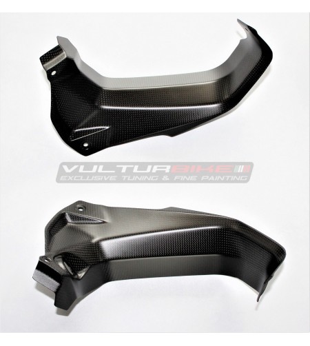Carbonplanken für Windschutzscheibe - Ducati Multistrada V4 