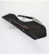 Carbon front chain guard - Ducati Multistrada V4 / V4S 