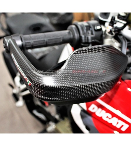 Paramani in carbonio - Ducati Multistrada V4 / V4S / Pikes Peak / Rally 