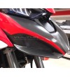 Puntale convogliatore completo in carbonio - Ducati Multistrada V4