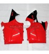 Original untere Verkleidungen - Ducati Panigale V4 / V4S 