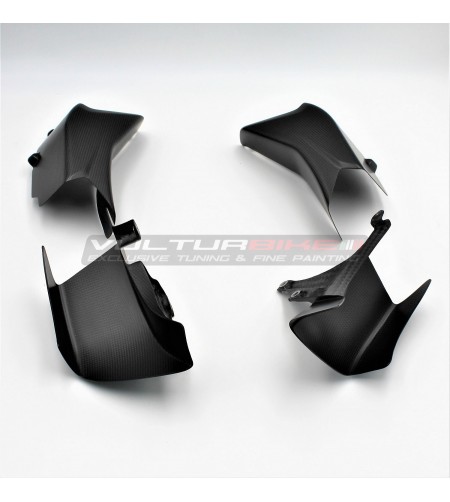 Set di alette in carbonio - Ducati Multistrada V4 