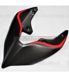 Carbon tail SP version - Ducati Panigale V4 / V4S / V4R / V2 / Streetfighter V4 / V2 