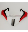 Custom Design Carbon Fairing - Ducati Multistrada PikesPeak 