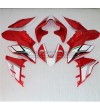 Kit adesivi personalizzato tricolore italiano - Ducati Streetfighter V4 / V4S