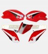 Benutzerdefinierte Grafik-Aufkleber-Kit - Ducati Monster 