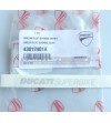 Emblème original Ducati superbike couleur argent 