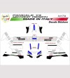 Kit adesivi design Moto GP - Ducati Panigale V4 