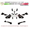 Sticker Kit 25 Jahre 916 Carl Fogarty - Ducati Panigale V4 / V4S / V4R 