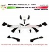 Sticker Kit 25 Jahre 916 Carl Fogarty - Ducati Panigale V4 / V4S / V4R 