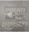 Original decals for lower fairings Panigale V4 special 