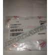 Autocollant bulle Ducati avant et arrière 916-748 