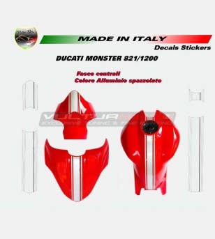 Adesivi fascia centrale colore spazzolato - Ducati Monster 821/1200
