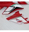 Stickers for side fairings Italian tricolor design - Ducati Streetfighter V4 / V4S 