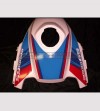 Individuelle Stank Aufkleber - BMW R1200 GS 2008/12 