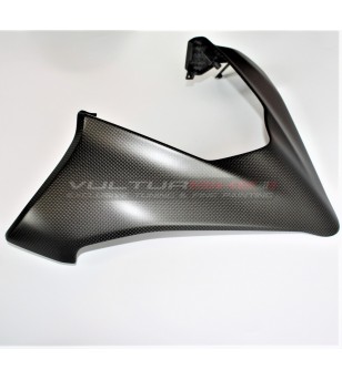 Carbon windshield - Ducati Multistrada V4 