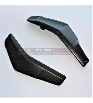 Carbon-Kühlerabdeckung Ducati Streetfighter V2 