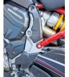Cover telaio in fibra di carbonio - Ducati Multistrada V4 