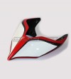 Carbon Tail Road Version - Ducati Panigale V2- V4 Streetfighter V2 V4