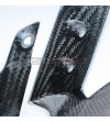 Carbon front fender - Multistrada V4S (ICEBERG WHITE) 