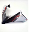 Custom Carbon Verkleidung - Ducati Multistrada V4S (ICEBERG WEISS) 