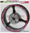 Adesivi universali colorati Factory Racing 