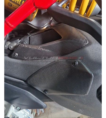 Paraspruzzo in carbonio - Ducati Multistrada V4 Pikes Peak 