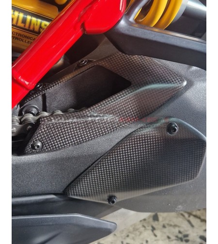 Paraspruzzo in carbonio - Ducati Multistrada V4 Pikes Peak 