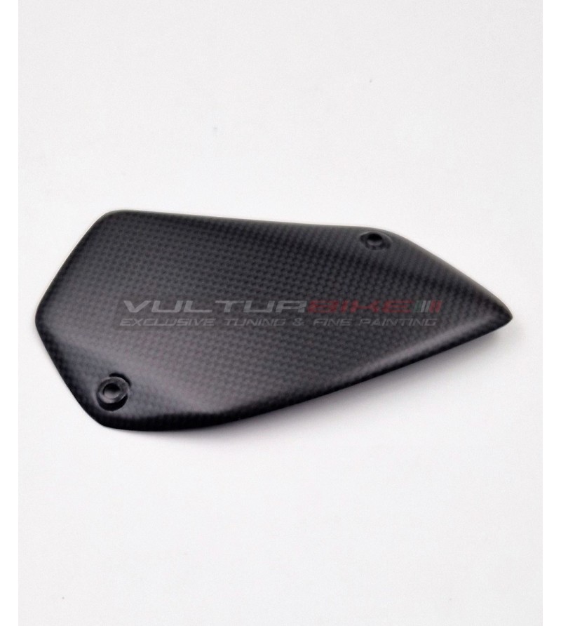Single-sided carbon protection - Ducati Multistrada V4 Pikes Peak 