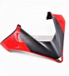 Frente completo - Ducati Multistrada V4 / V4S / Rally 