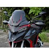 Carenado deportivo de carbono versión personalizada - Ducati Multistrada V4 / Pikes Peak / Rally 