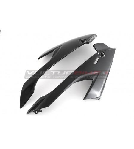 Carénages côté carbone - BMW S 1000RR 2019 / 2021