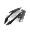 Carénages côté carbone - BMW S 1000RR 2019 / 2021