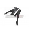 Carenados lateral de carbono - BMW S 1000RR 2019 / 2021
