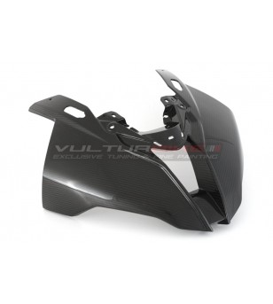 Carbon Windscreen - BMW S 1000RR 2019 / 2023