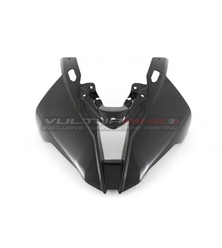 Carbon Windscreen - BMW S 1000RR 2019 / 2023