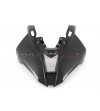 Carbon Windschutzscheibe - BMW S 1000RR 2019 / 2023