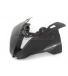 Carbon Windschutzscheibe - BMW S 1000RR 2019 / 2023
