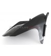 Guardabarros trasero de carbono - BMW S 1000RR 2019 / 2023