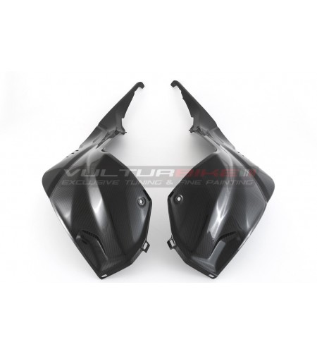 Paneles laterales del tanque de carbono - BMW S 1000RR 2019 / 2023